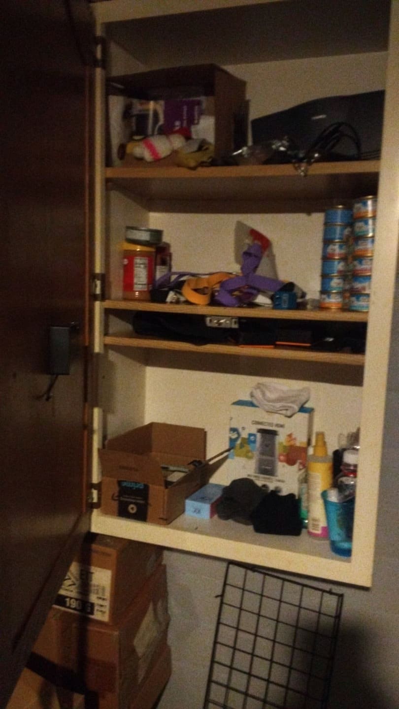 I had to lock up cat food